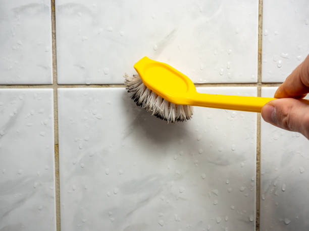 Best Best Mold Removal Companies  in Lodi, NJ